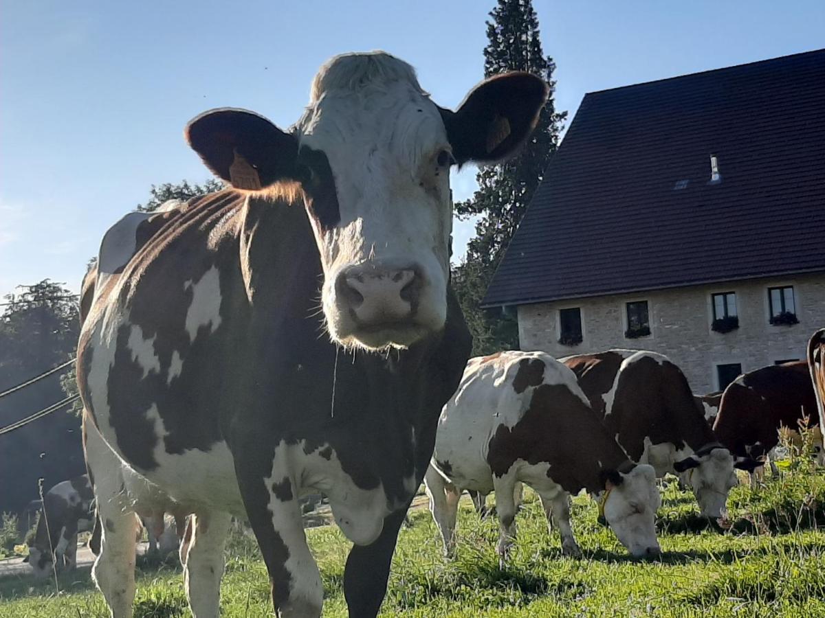 Gite Chez La So ! Avec Visite A La Ferme Arcon (Doubs) Exterior photo