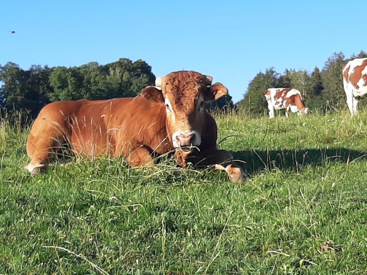Gite Chez La So ! Avec Visite A La Ferme Arcon (Doubs) Exterior photo